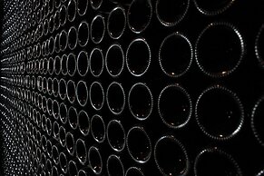 Champagne Philippe Martin