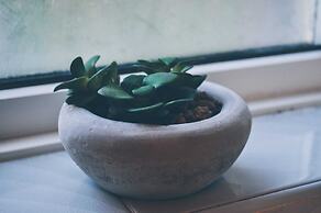 The Windsor Garden Apartment