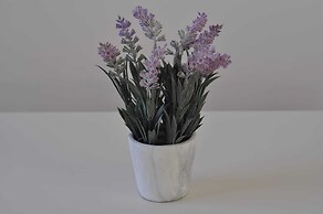 The Windsor Garden Apartment