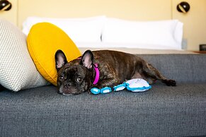 Canopy by Hilton Grand Rapids Downtown