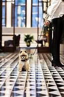 Canopy by Hilton Philadelphia Center City