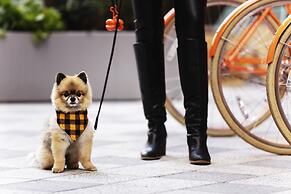Canopy by Hilton Philadelphia Center City