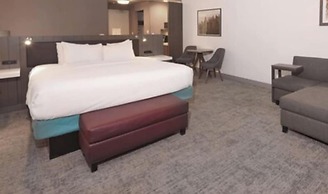 Hilton Garden Inn Chandler Downtown