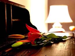 CASA INGENIO Deep Inside Los Mochis