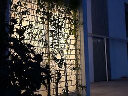 CASA INGENIO Deep Inside Los Mochis