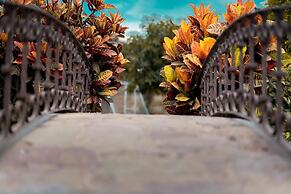 Forget about everything and relax