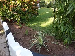 Plastic Bottles House
