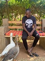 Plastic Bottles House