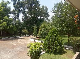 Plastic Bottles House