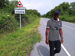 Plastic Bottles House