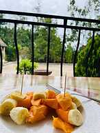 Plastic Bottles House