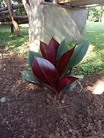 Plastic Bottles House