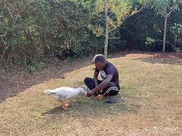 Plastic Bottles House