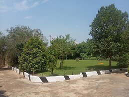 Plastic Bottles House