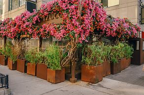 Kasa Magnificent Mile Chicago