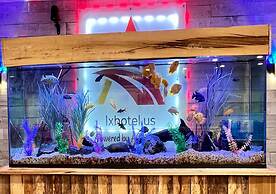 Lx Hotel, BW Signature Collection By Best Western