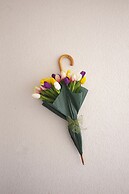 Guest house Djonovic