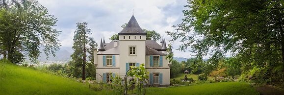 Chateau de Druon