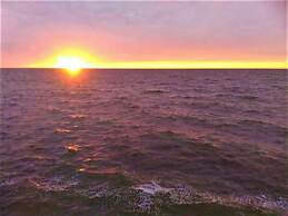 Kaeli's Caribbean Studios