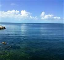 Kaeli's Caribbean Studios