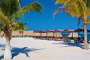 Kaeli's Caribbean Studios