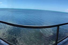 Kaeli's Caribbean Studios