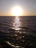 Kaeli's Caribbean Studios