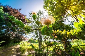 Casa da Tia Clementina