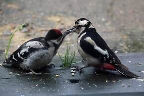 A Devon Rural Retreat