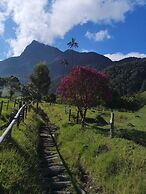 Refugios Nidos del Condor -Cocora-