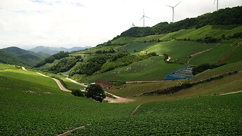 Bluemoon Guest House - Hostel