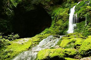 Bluemoon Guest House - Hostel