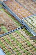 Anadolu Hotels Didim Club