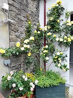 Red Setter Town House B&B