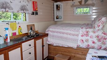 Cosy Shepherds Hut nr Kynance Cove