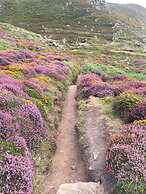 Cosy Shepherds Hut nr Kynance Cove