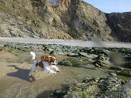 Cosy Shepherds Hut nr Kynance Cove