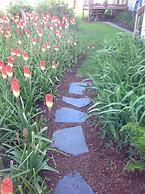 Tyee Lodge Oceanfront B&B