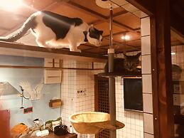 neco yokujo & neco hatago Neco Requblic - Hostel