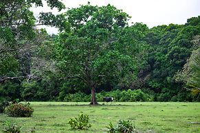 NIKKI Peucang Resort