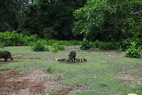 NIKKI Peucang Resort