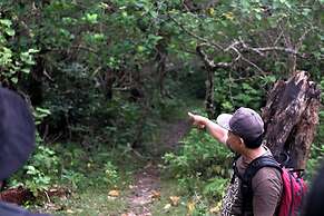 NIKKI Peucang Resort