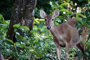 NIKKI Peucang Resort