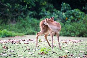 NIKKI Peucang Resort