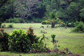 NIKKI Peucang Resort