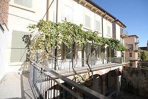 la vigna in Città il vigneto