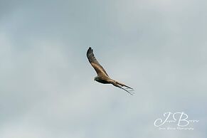 Pencastell Views Pod With Stunning Views