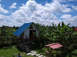 Finca Ecoturistica La Argelia