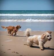 Wellspring Cottage nr Kynance Cove