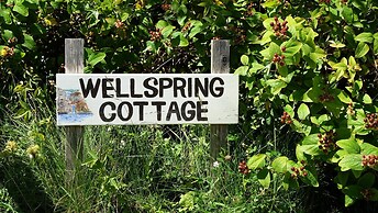 Wellspring Cottage nr Kynance Cove